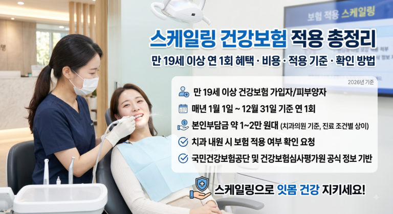2026년 스케일링 건강보험 적용｜만 19세 이상 연 1회 혜택·비용·적용 기준·확인 방법