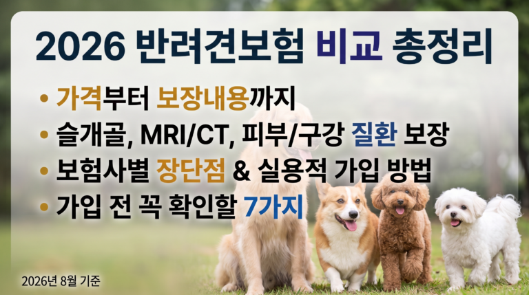 2026 반려견 강아지보험｜실용적인 방법으로 가격비교해서 가입하기